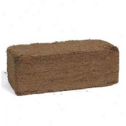 Coco Fibre Brick DSRBC GlobalGeckos.co.uk